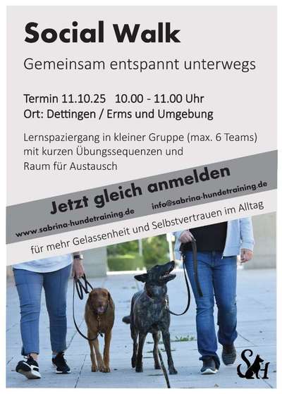 %{de_profession_title}-Social Walk-Bild