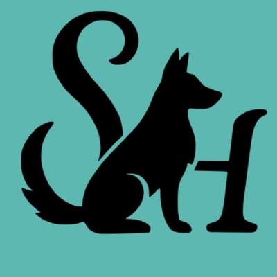 Hundeschulen-Hundetraining Sabrina Haupter-Bild