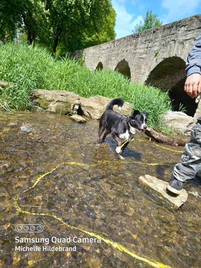 Fotowettbewerb Natur-Beitrag-Bild