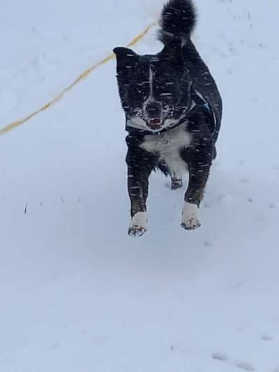 Schnee Foto-Beitrag-Bild