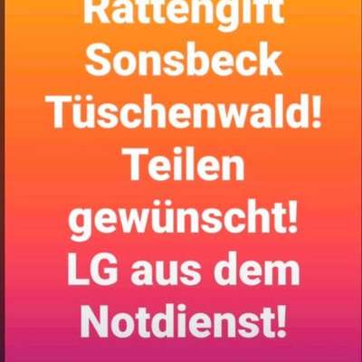 Giftköder-Rattengift-Bild