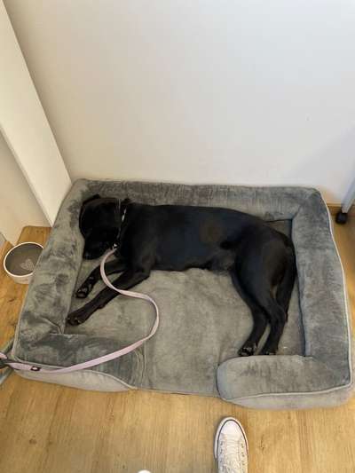 Zeigt her...-Beitrag-Bild