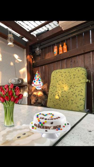 Hier ist der Spaßthread. Zum Schmunzeln und Kaputtlachen-Beitrag-Bild