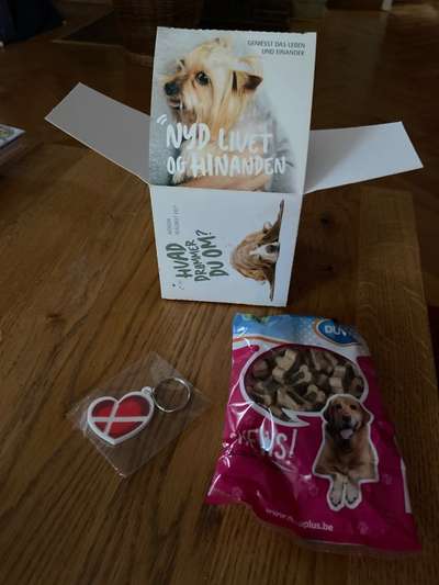 Urlaub Dänemark-Beitrag-Bild