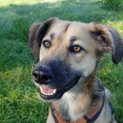 Fotochallange Nr. 57     PORTRÄT.   Beendet!!!!!!!!-Beitrag-Bild