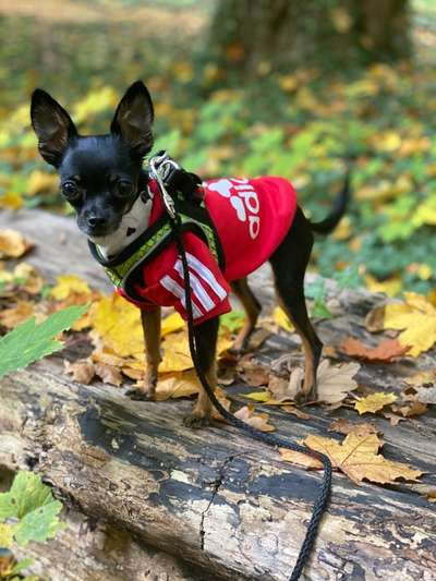 Foto Challenge 2 BEENDET 
Bitte aktuelle Challenge nutzen-Beitrag-Bild