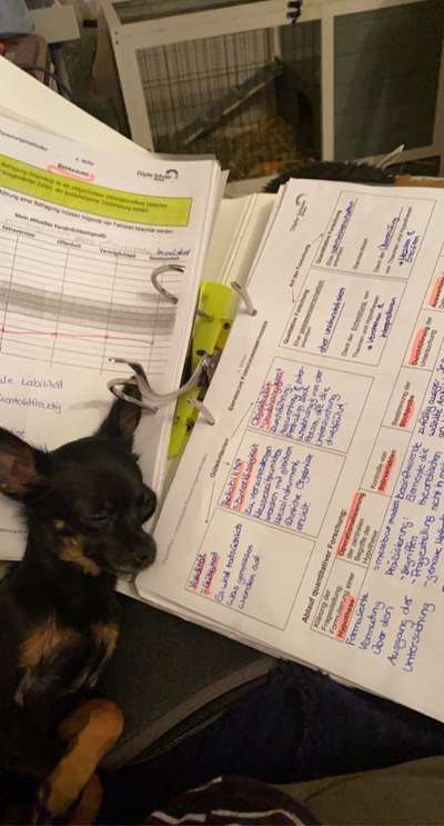 Die unbequemsten und lustigsten Schlafpositionen-Beitrag-Bild