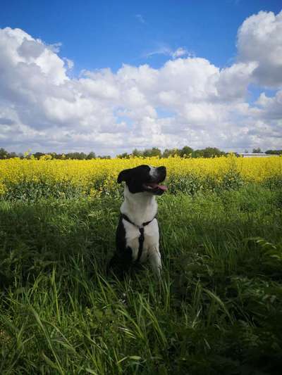 FOTOCHALLENGE 86-Beitrag-Bild