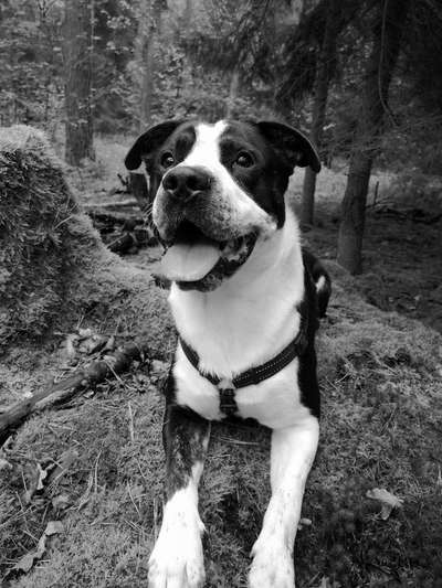 Foto-Challenge 76: Foto in Schwarz-Weiss-Beitrag-Bild