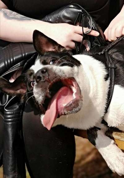 Fotochallange 84-Beitrag-Bild