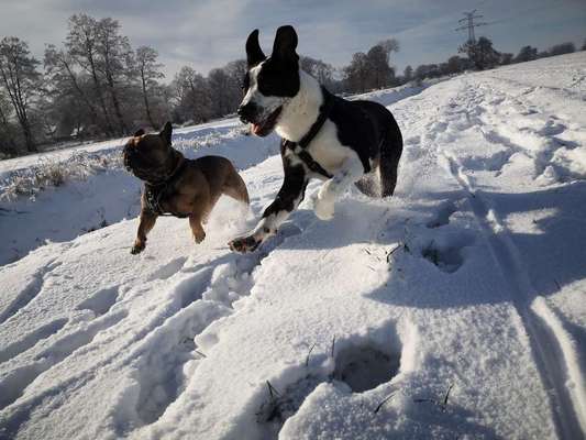 Handyfoto Challange  - Winter,Schnee-Beitrag-Bild