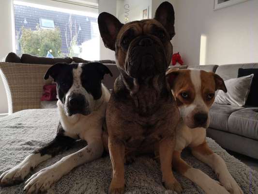 Handy-Foto-Challange Nr. 8-Beitrag-Bild