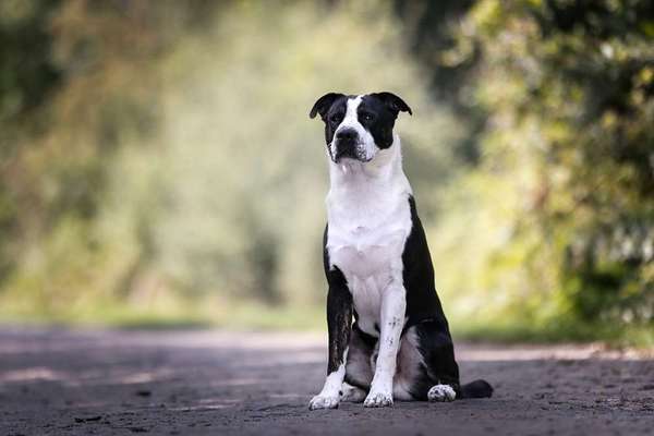 Fotochallenge 87: Im Park-Beitrag-Bild