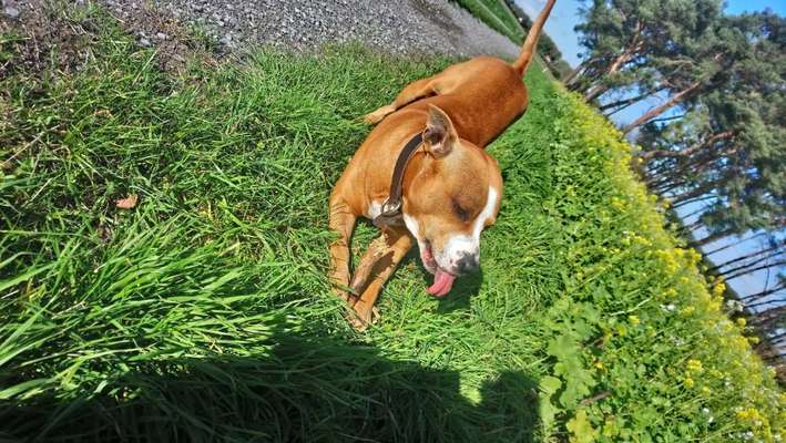 Tongue Out Tuesday-Beitrag-Bild