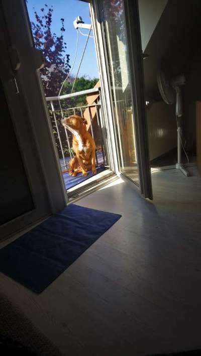 FOTO-Challenge  NR. 91: Die pure Entspannung-Beitrag-Bild