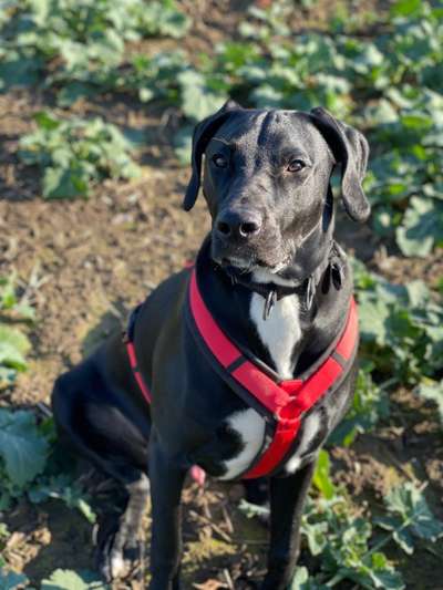 Lieblingsbild-Beitrag-Bild