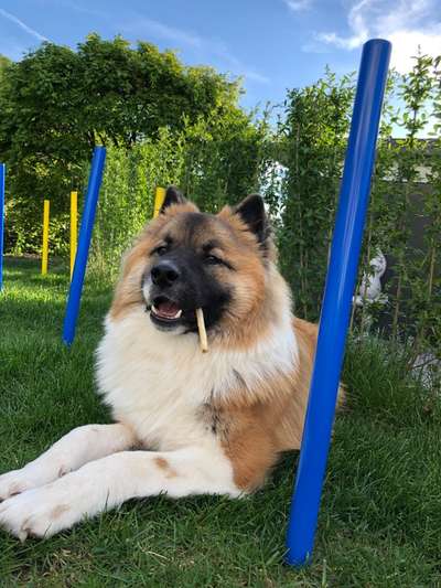 Fotochallenge Nr. 67: Euer Lieblingsbild-Beitrag-Bild