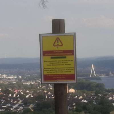 Giftköder-Eichen-Prozessionsspinner-Bild