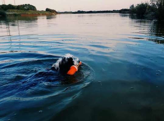 Fotochallenge No.97-Beitrag-Bild