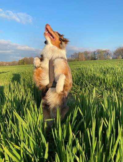 Fotochallenge 78

Es grünt und blüht-Beitrag-Bild