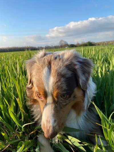 Fotochallenge 78

Es grünt und blüht-Beitrag-Bild