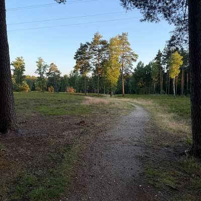 Hundeauslaufgebiet-Wacholderpark-Bild