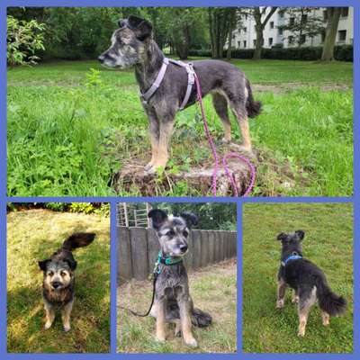 53. Collage Challenge - Verschiedene Blickwinkel-Beitrag-Bild