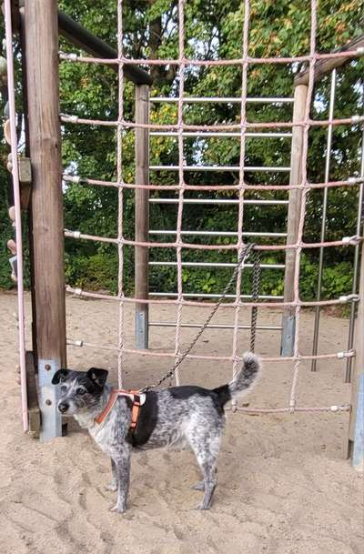 68. Handy Foto Challenge: "Ins Netz gegangen"-Beitrag-Bild