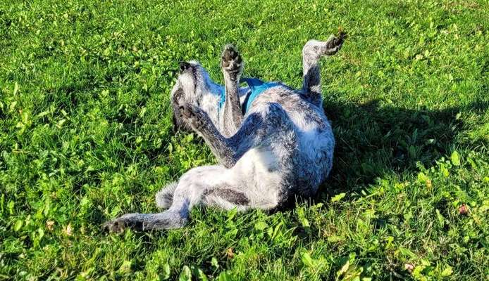 Foto Challenge - Zeigt her eure Bäuche-Beitrag-Bild