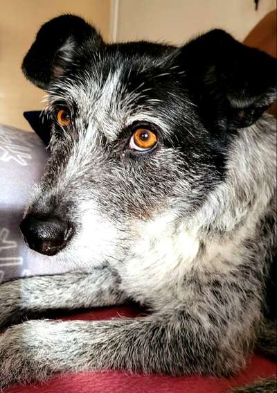 25. Farben Fotochallenge ,,Bernstein"-Beitrag-Bild