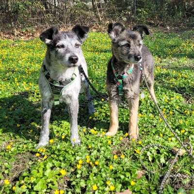 Silke👣's Profilbild