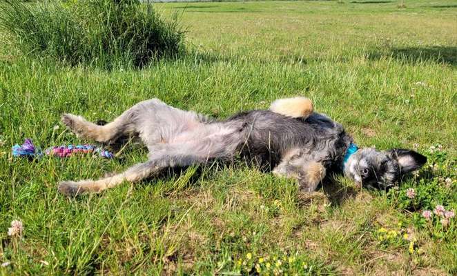 Foto Challenge - Zeigt her eure Bäuche-Beitrag-Bild