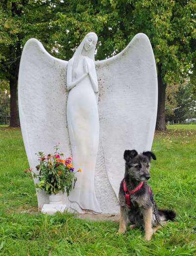 82. Foto Challenge: Skulptur/ Denkmal-Beitrag-Bild