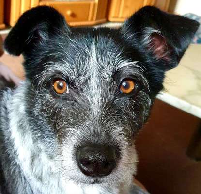 150. Foto Challaenge:  Die Augen, der Spiegel der Seele-Beitrag-Bild