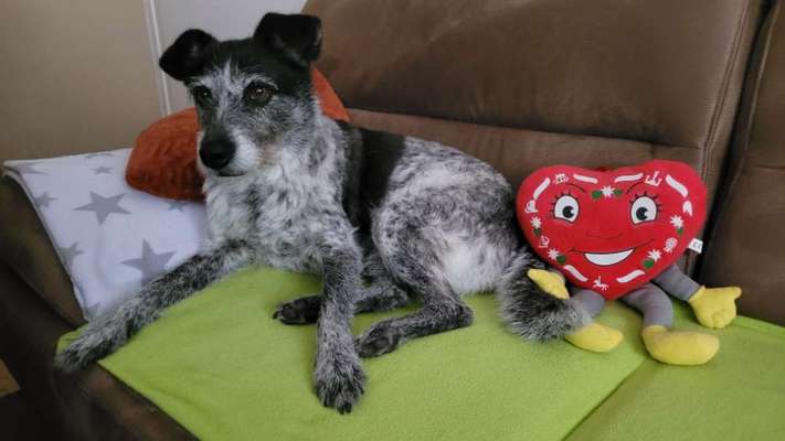 67. Handy Foto Challenge: Rotes Herz-Beitrag-Bild