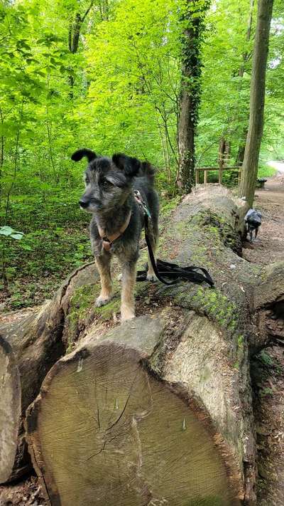 154. FotoChallenge * AUFS BILD GEMOGELT *-Beitrag-Bild