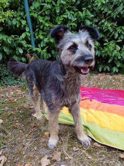 32. Farben Challenge  ** ( BUNTE ) STREIFEN **-Beitrag-Bild