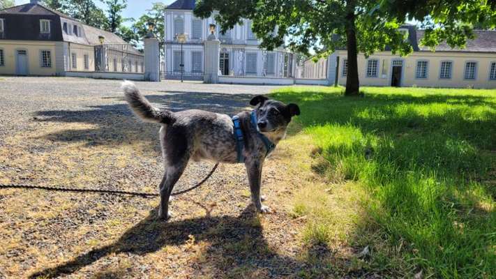 151. Photo Challenge: Sehenswürdigkeiten-Beitrag-Bild