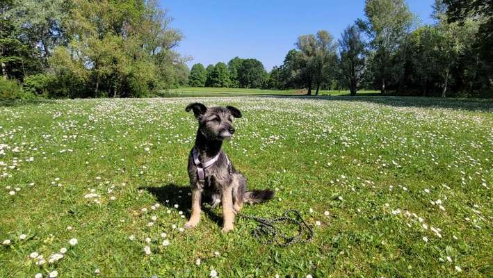 149. Foto Challenge: Wer ist hier der Boss!-Beitrag-Bild