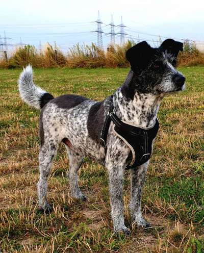 34. Farben-Challenge: Punkte - Punkte - Pünktchen-Beitrag-Bild