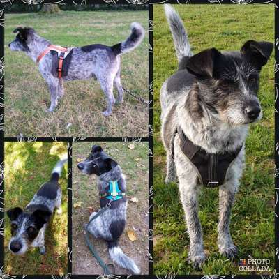 53. Collage Challenge - Verschiedene Blickwinkel-Beitrag-Bild