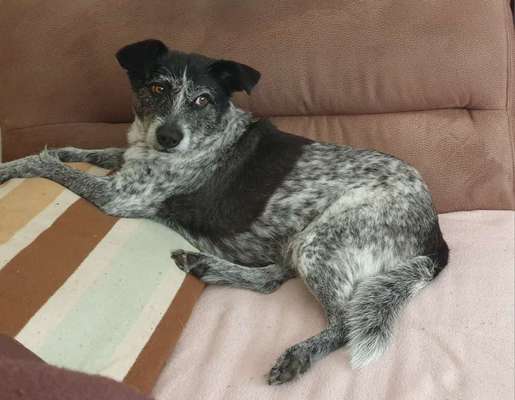 32. Farben Challenge  ** ( BUNTE ) STREIFEN **-Beitrag-Bild