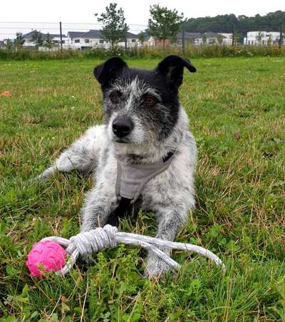 30. Farben Challenge - Pink-Beitrag-Bild