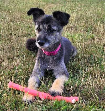 30. Farben Challenge - Pink-Beitrag-Bild