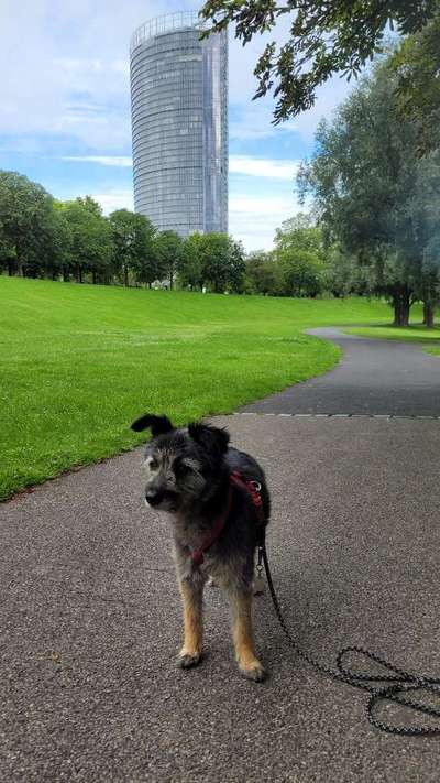 151. Photo Challenge: Sehenswürdigkeiten-Beitrag-Bild