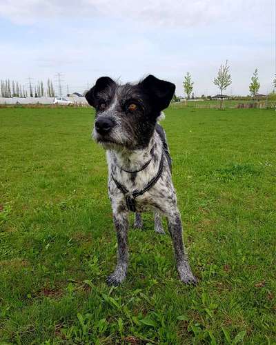 149. Foto Challenge: Wer ist hier der Boss!-Beitrag-Bild