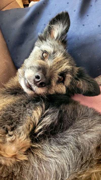 69. Handy-Fotochallenge: Soundtrack-Beitrag-Bild