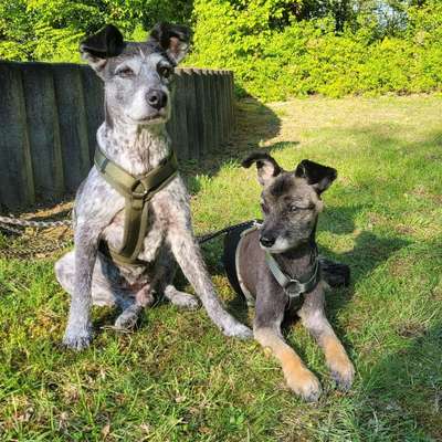 Silke👣's Profilbild