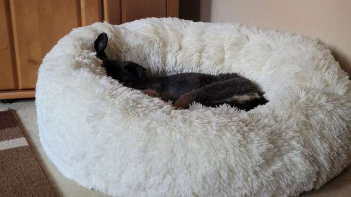 80. Foto  Challenge - Versteckt/ in einer Höhle-Beitrag-Bild