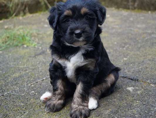 Vorher.... Nachher-Beitrag-Bild